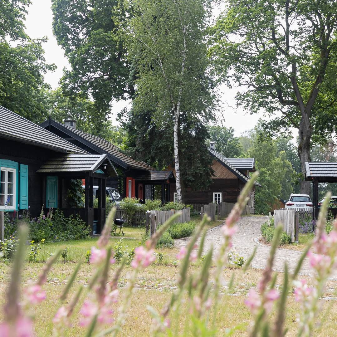 Gotowe drewniane domy Przysiółka Spore wśród zieleni i kwiatów